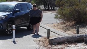 SSBBW Public Stairs Struggle