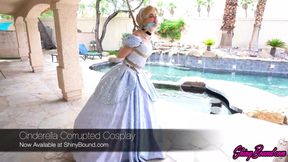 Cinderella Cosplay Bondage
