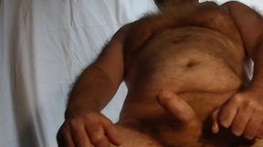 British Hairy Bear Wank with Hairy Chest and Belly