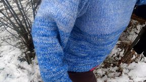 Red Tits in the Snow