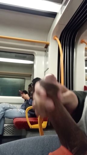 Public train dick flash for nerdy brunette