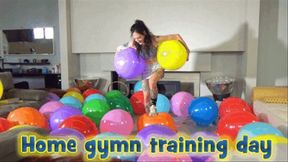 Home gymn training day