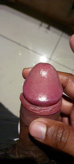Hard and Pink Cock Dick