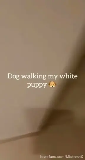 All men should be on a leash and dog walked to servitude for the rest of their lives