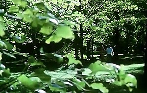 Lesbians treb, 1974 German Porn old school with extraordinaire hotty - Russian audio