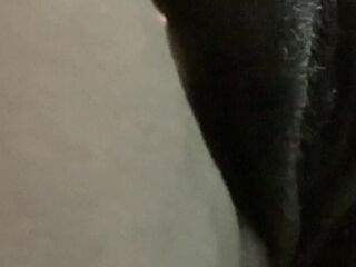 Close Up Front View Of Solo Anal