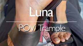 Luna's POV Trample