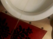 Teen Tranny Pees While In Skirt