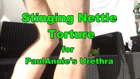 Stinging Nettles vase with Paulannie'_s uretrhra