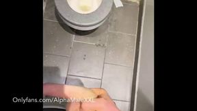 Public Toilet Straught Guy