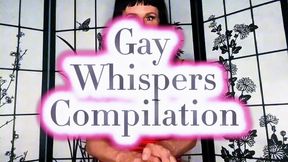 Gay Whispers Compilation
