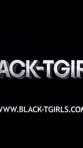 BLACK TGIRLS - Compilation Updates 2nd Dec to 6th Dec '24   Clip 2