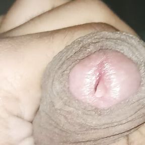 Desi Big Indian Dick