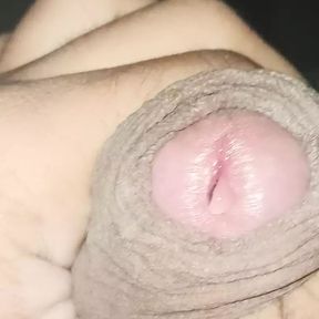 Desi Big Indian Dick