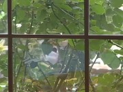 Blonde Porn Babe Hannah Harper Gets Banged For Cum All Over Her Great Tits- PervMilfsnTeens