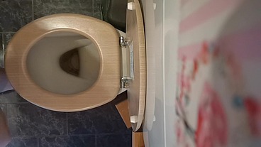 Perfect ass pee and farts on the wc 4K