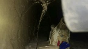 The battle with the spider web and its captives WMV