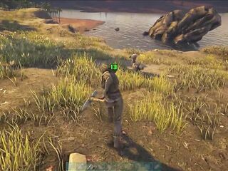 girl alone in the woods wanting to get the loot and holding the pickaxe