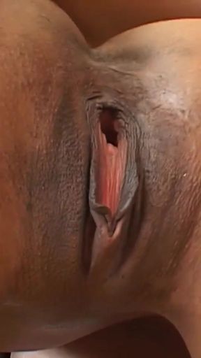 Must-share moment from &quot;Black family taboo fucking&quot;