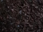 Quick wank in the forrest