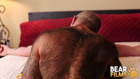 BEARFILMS - Big bear Graydon Emory Ford raw breeds Atlas Grant