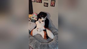 Angrybarks From The Vets Office Teaches Your How To Milk Your Puppy Boyfriend