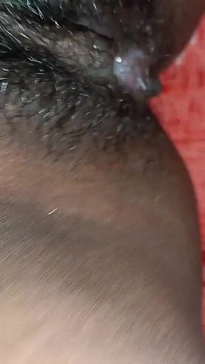 Neighbor's Sister-in-law Was Forgotten at Night and by Sanders.