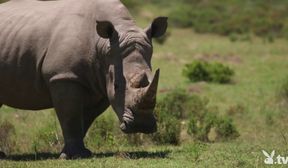 playboy sexcape 1 ep 2