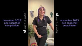 November 2023 Pee Compilation