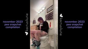 November 2023 Pee Compilation