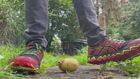 Asics trabucco crush Vegetables