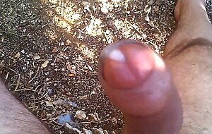 Uncut cock (Cum no hand)