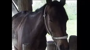 Giovane Troia succhia il mio Cazzo in fattoria!