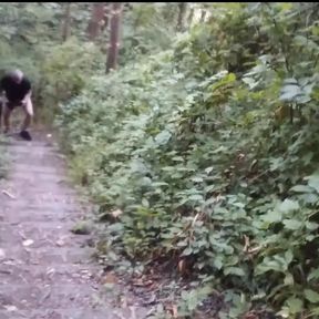 Naturist Stairs on Forest Mountain