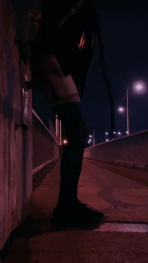 I Walk Like a Prostitute Through the Night City