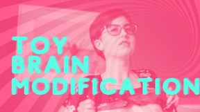 Toy Brain Modification