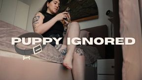Puppy Getting Ignored by Devillish Goddess Ileana | Ignore Kink Voyeurism Big Feet