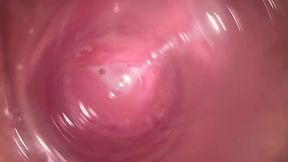 Dirty Talk and Pussy Creampie - Internal Camera Fun!