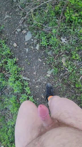 Cumming and Pissing on the Blue Ridge Parkway