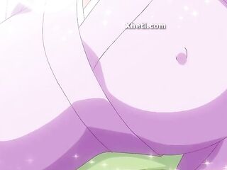 Manga Anime, Animation porn