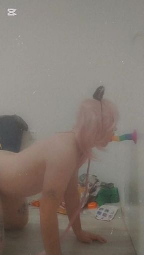 Catboy and the rainbow penis