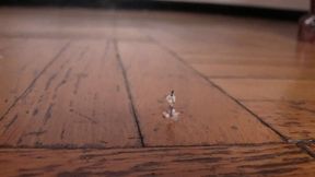 KAT UNAWARE GIANTESS - Giantess, tiny men, foot fetish - WMV