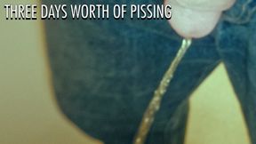 Three Days of Pissing 4K
