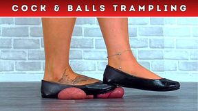 Trampling Your Cock & Balls Under My Old Worn Ballet Flats (D12) - Bug Cam - Trample CBT Ballbusting Crush Fetish