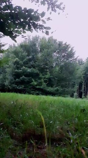 Slutboyben Cam4 Abgefickt Und Vollgerotzt Outdoor