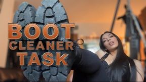 Boot Cleaner Task