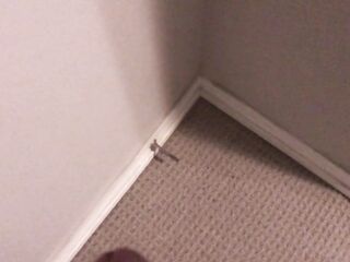 Pissing all over my bedroom carpet and wall, leave a biggest immodest puddle