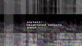 Install: Heightened Sensory Input