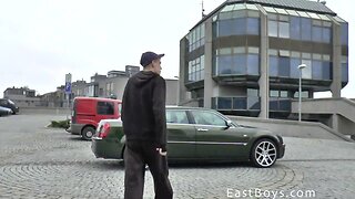 Limousine twinks 2016 play with a considerable pecker