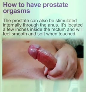 Prostate Orgasams Anal